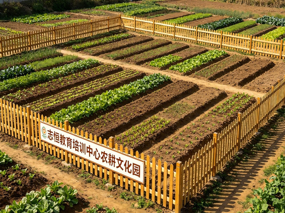 徐州全封闭管教学校深度解析:破解叛逆困局的专业之选